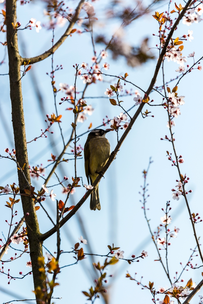 DSC_0317.jpg