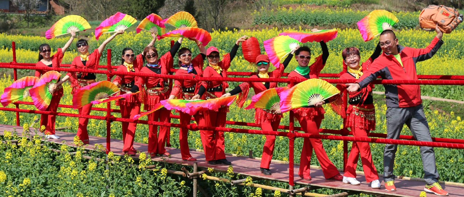 油菜花开广场舞图片