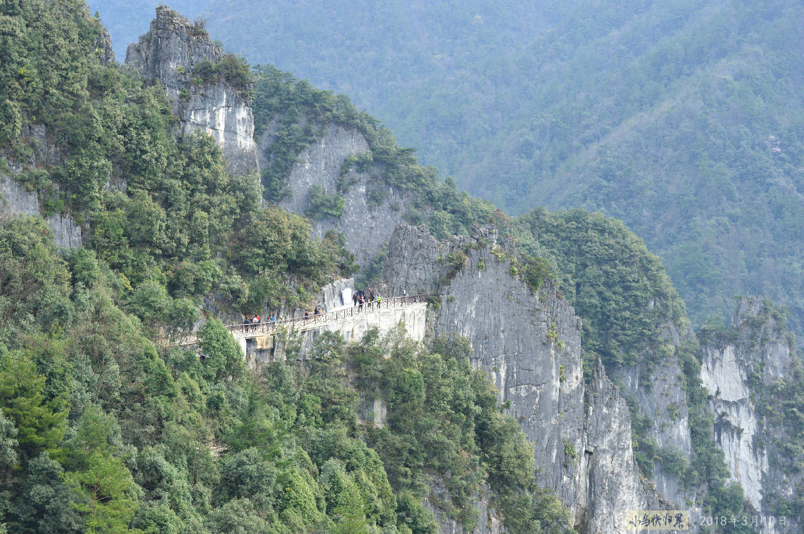 DSC_0082.JPG