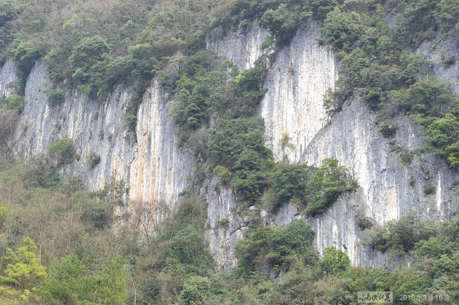 DSC_0085.JPG