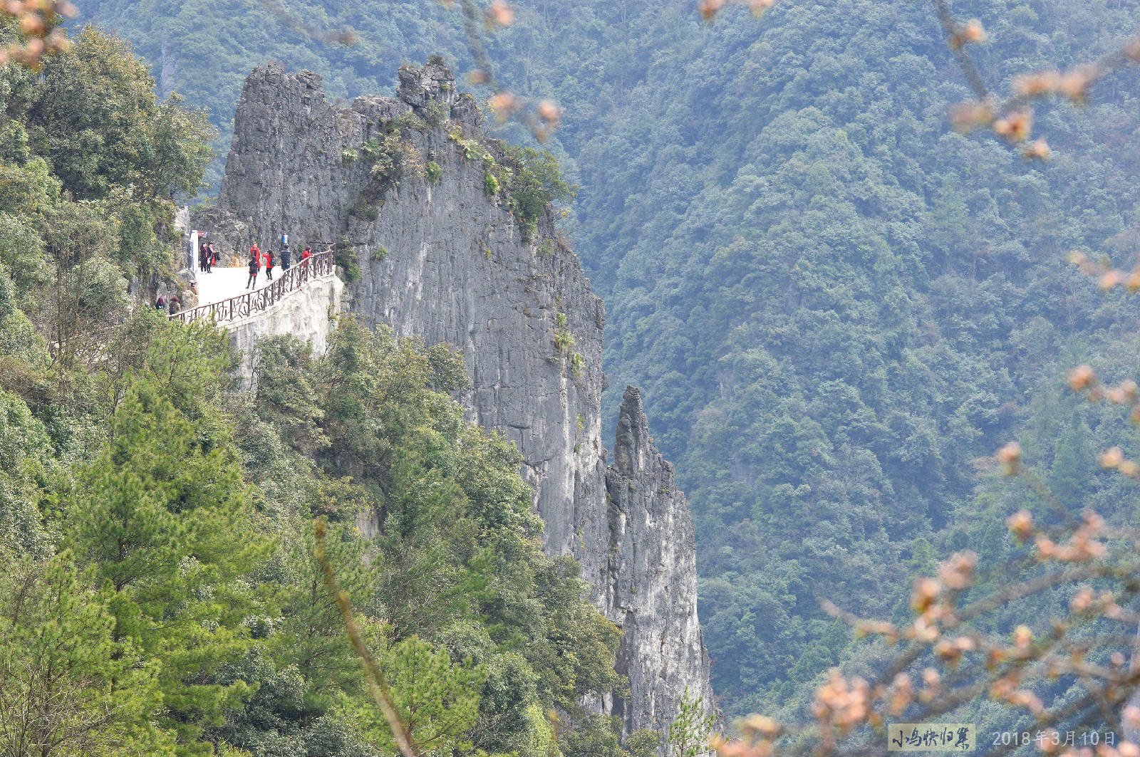 DSC_0086.JPG