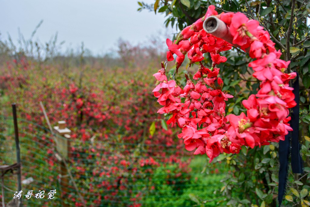 DSC_4943.jpg