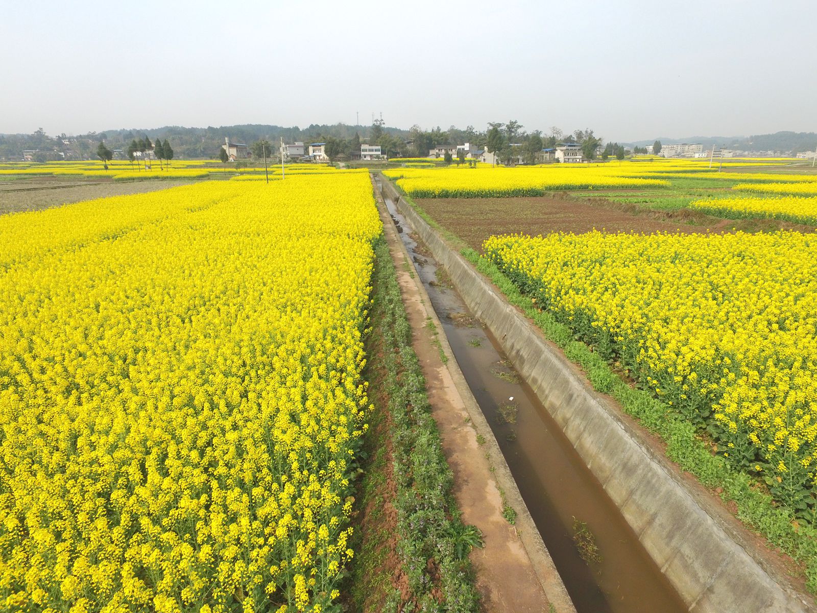 DJI_0811.JPG