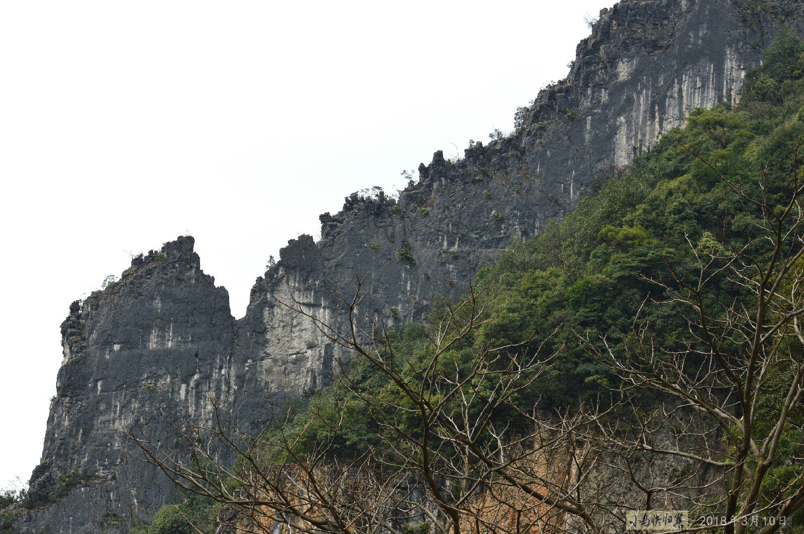 DSC_0125.JPG