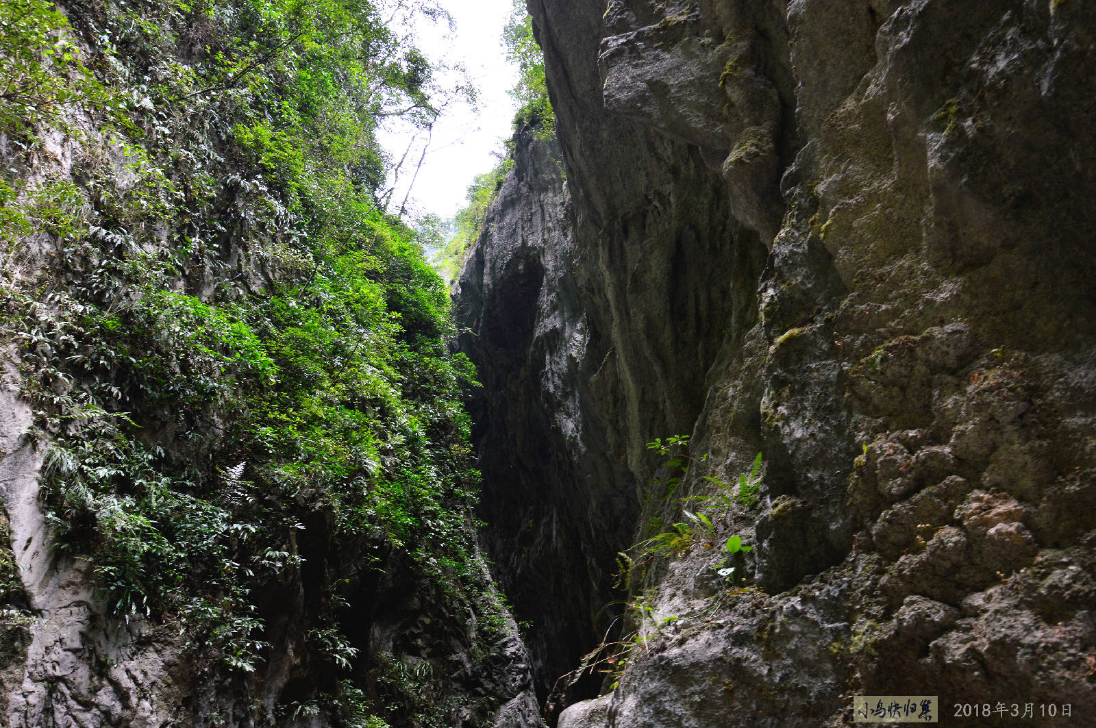DSC_0261.JPG