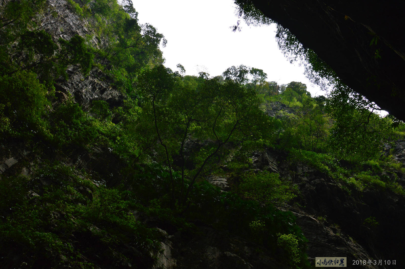 DSC_0276.JPG