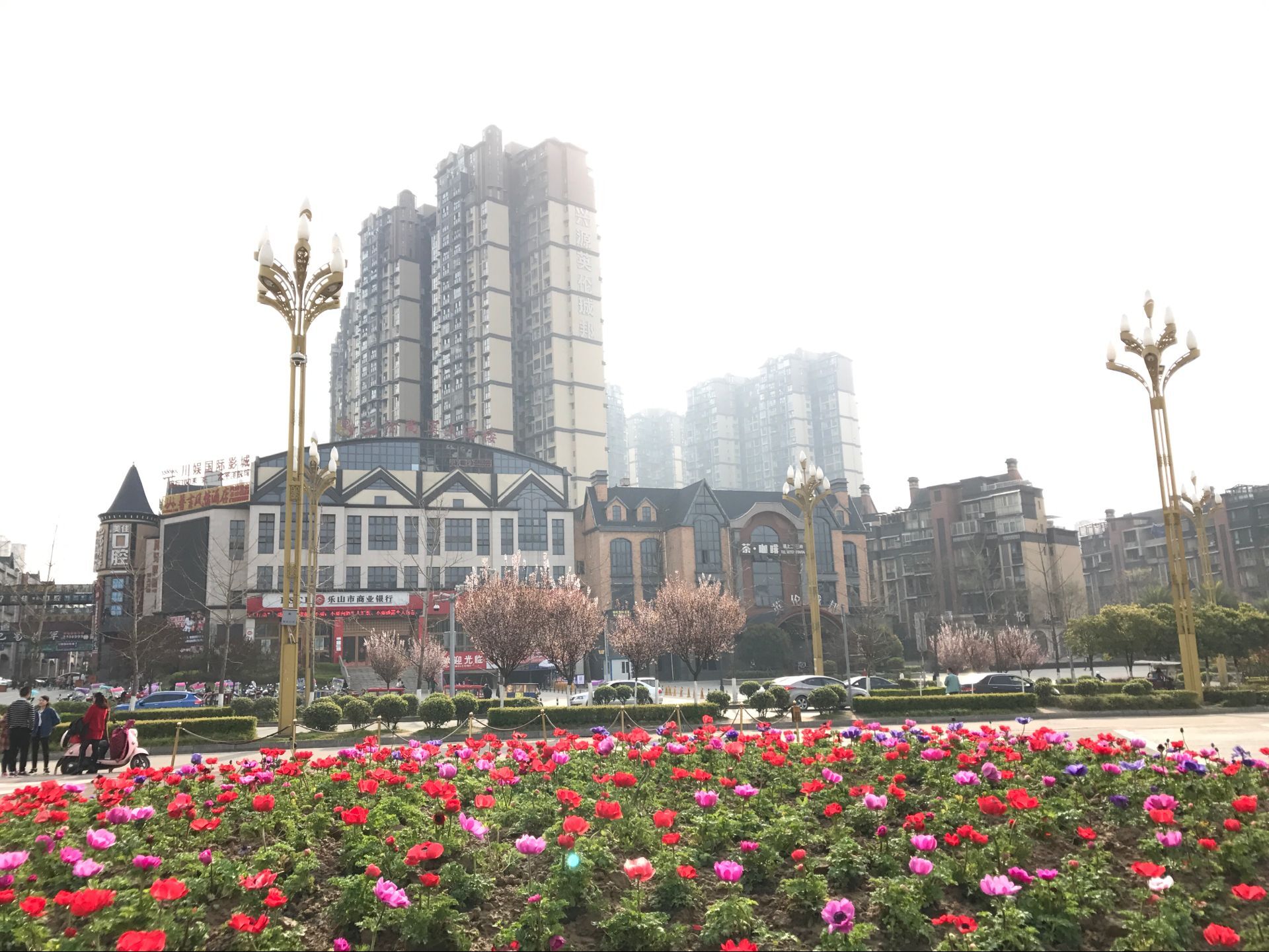 QQͼƬ20180313085826.jpg