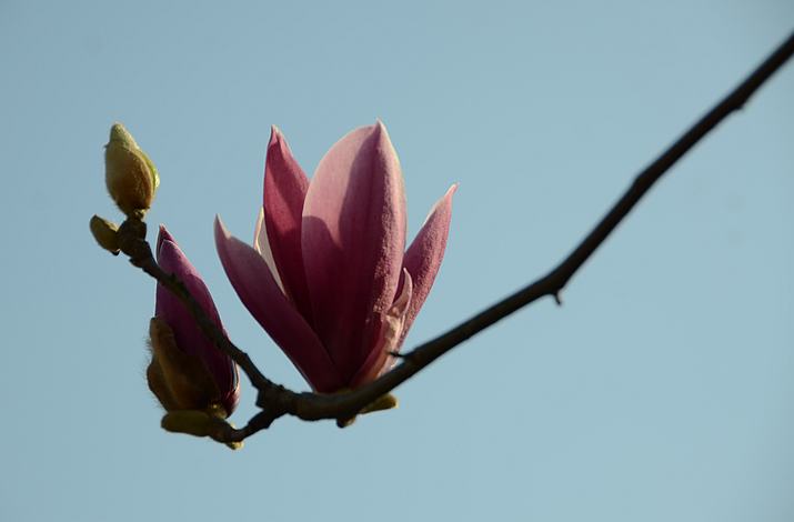 DSC_0752.JPG