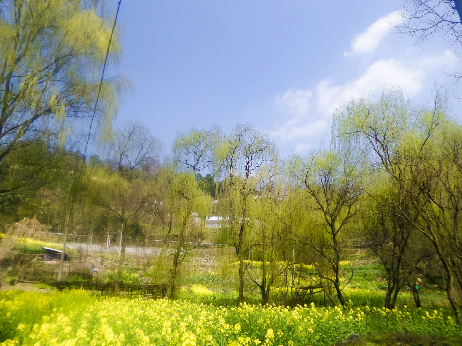 20180309_130302.jpg