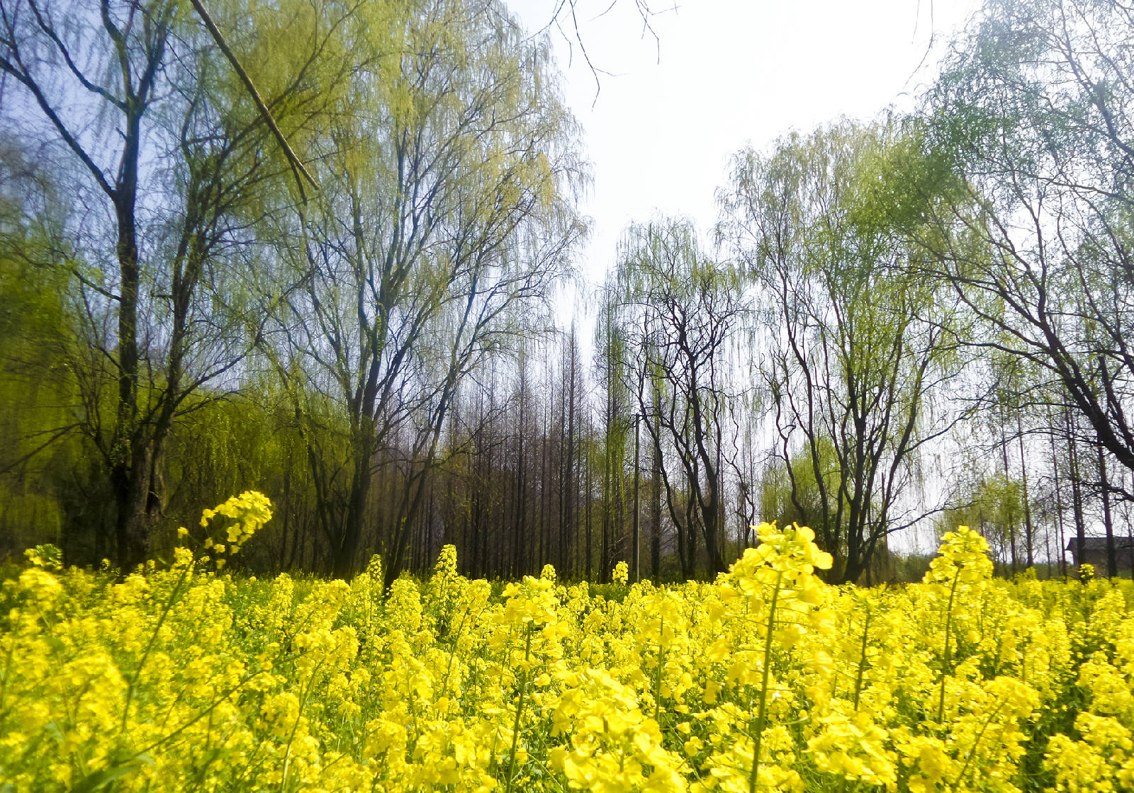 20180309_125257.jpg