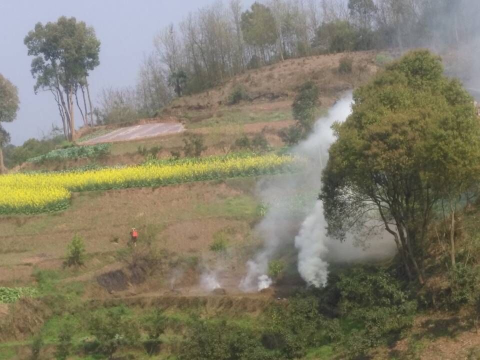 合江法王寺鎮:垃圾亂倒秸稈亂燒汙染青山綠水!