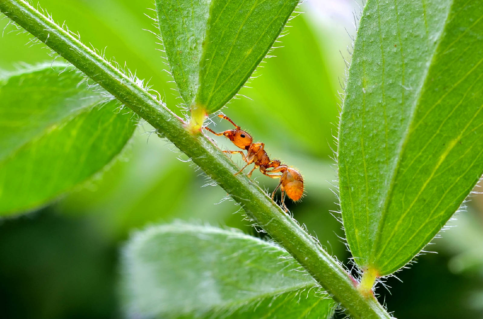 DSC_1607_副本_副本.jpg