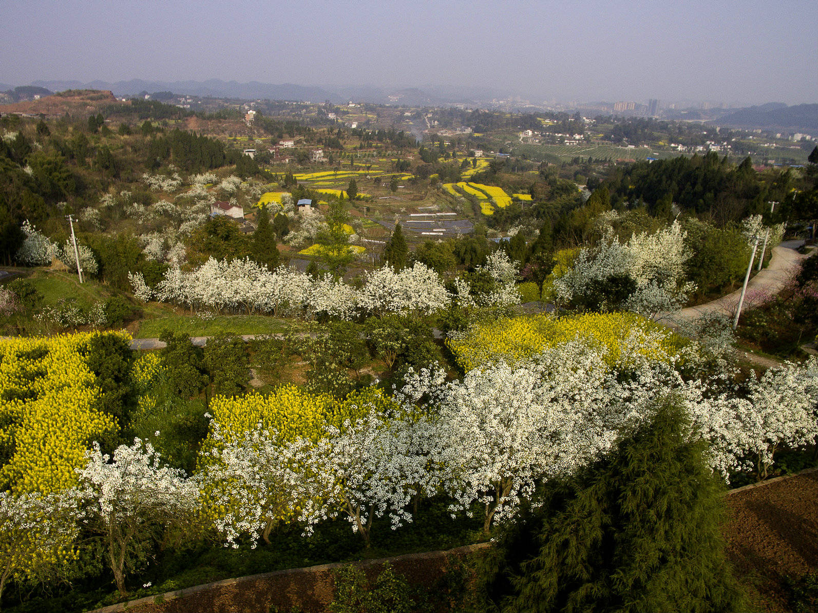 DJI_0020.jpg