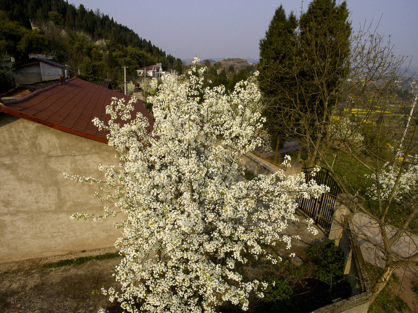 DJI_0027.jpg