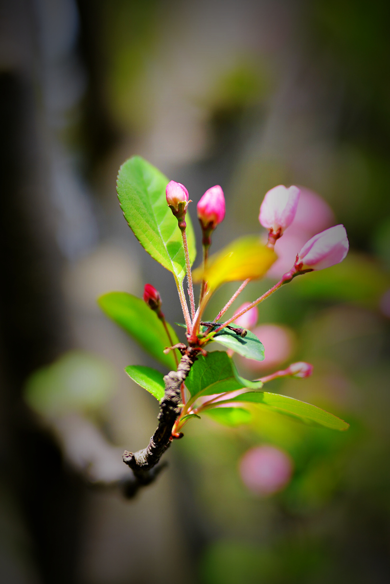 DSC_3101.jpg
