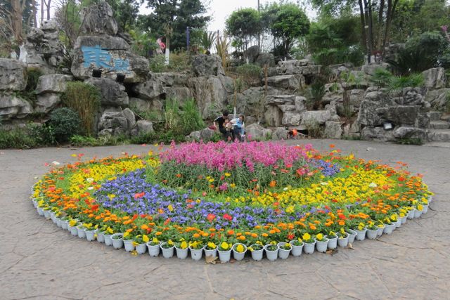 img_6907.jpg