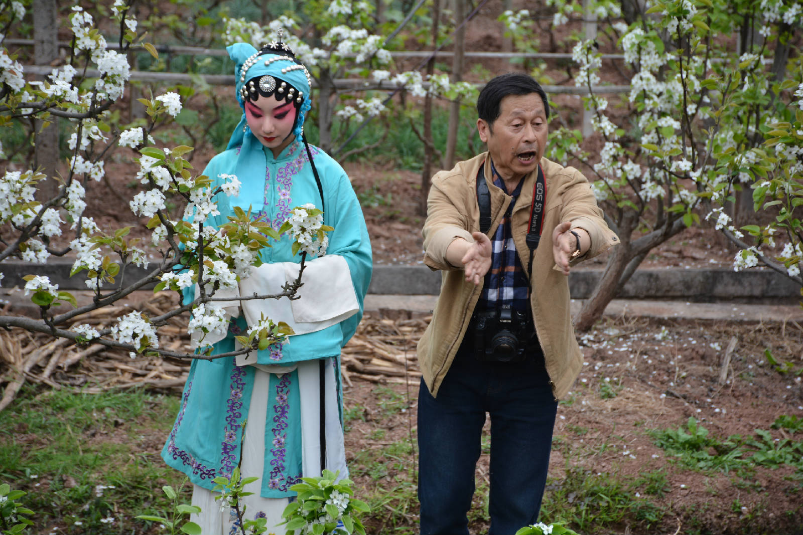 2018-3-17仁寿梨花 063.jpg