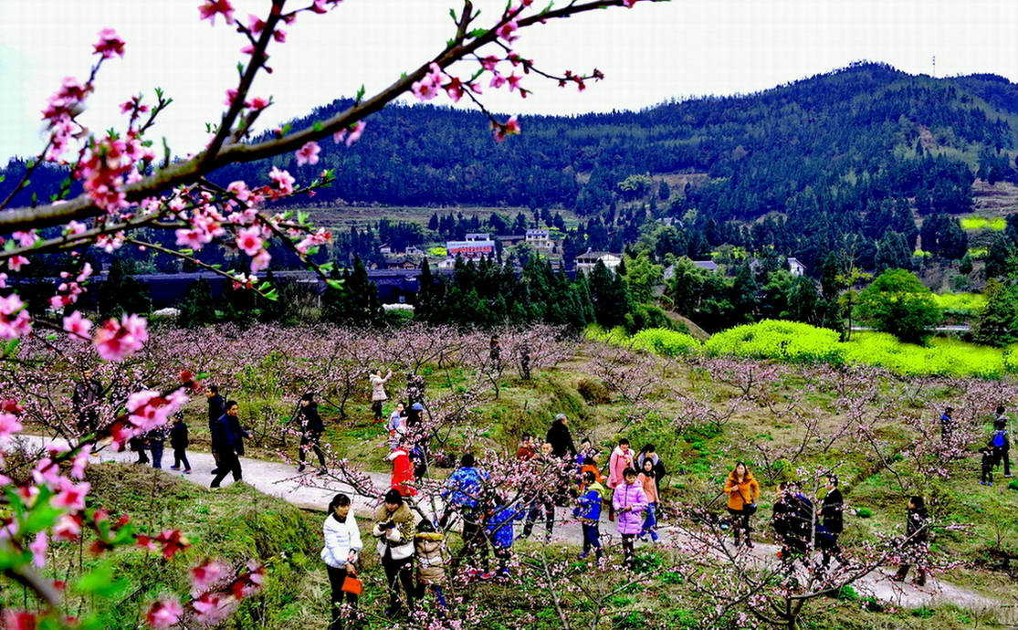 《山乡处处春意浓》_5538.JPG