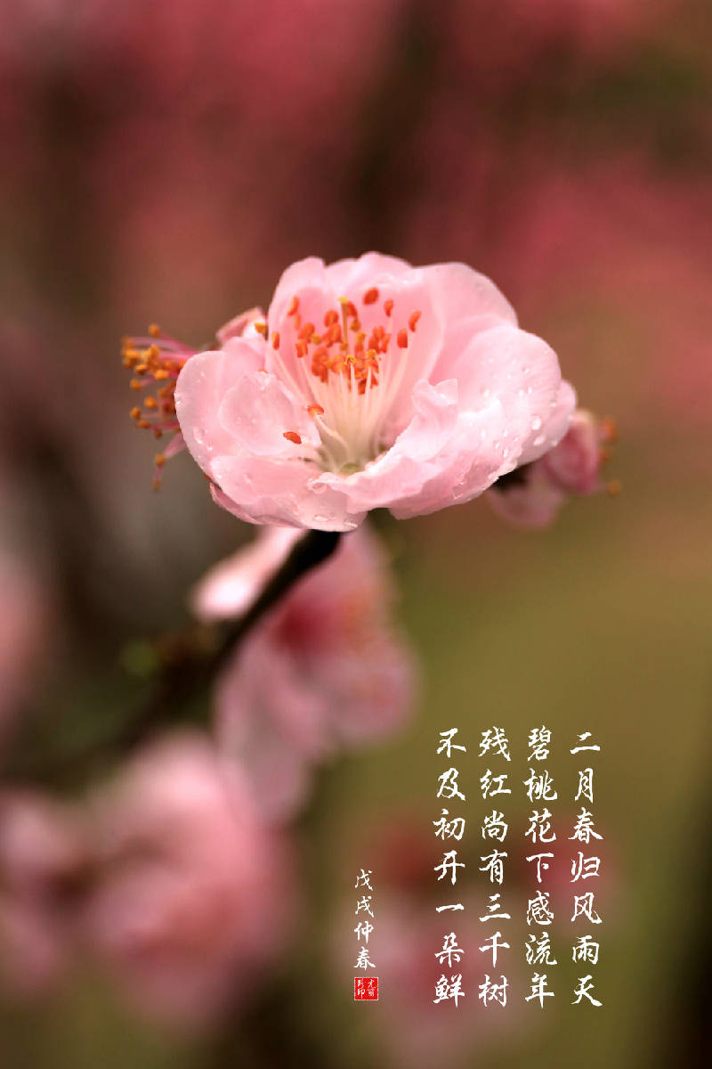 IMG_0147_副本.jpg