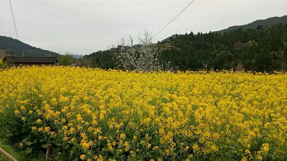 曾经受到过邓小平同志的亲切接见:沉痛悼念德