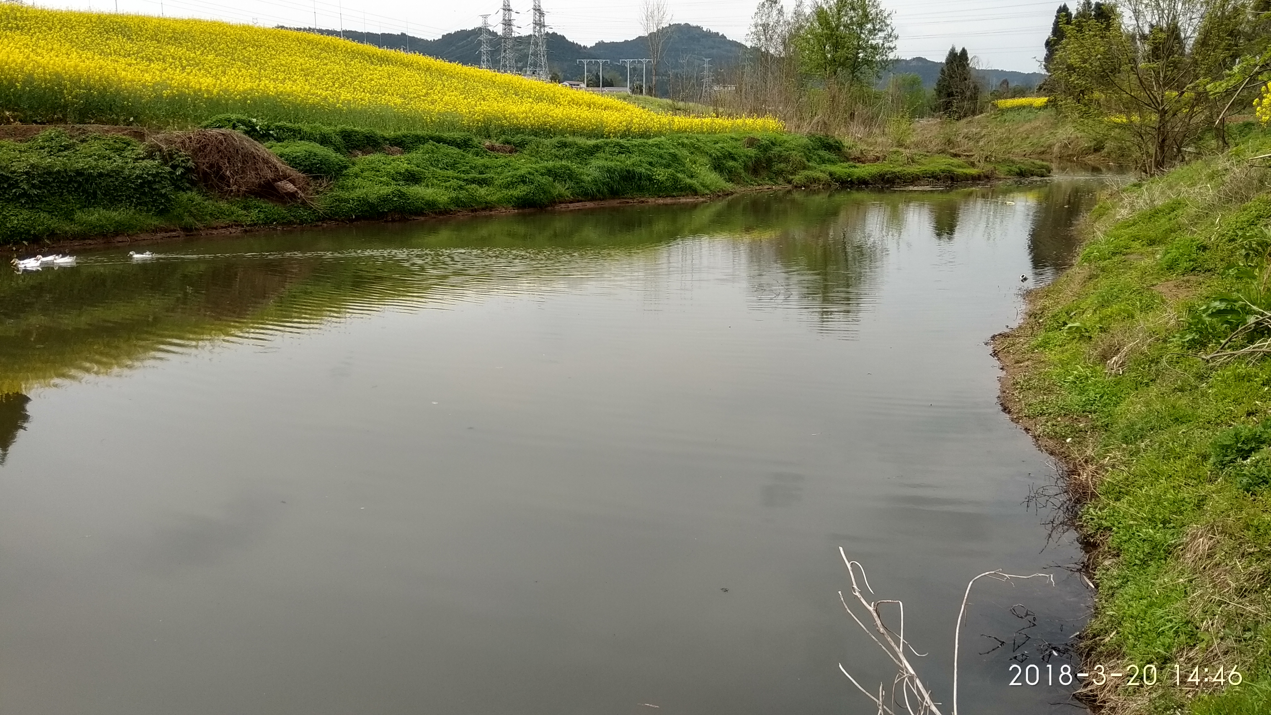 IMG_20180320_144659_HDR.jpg