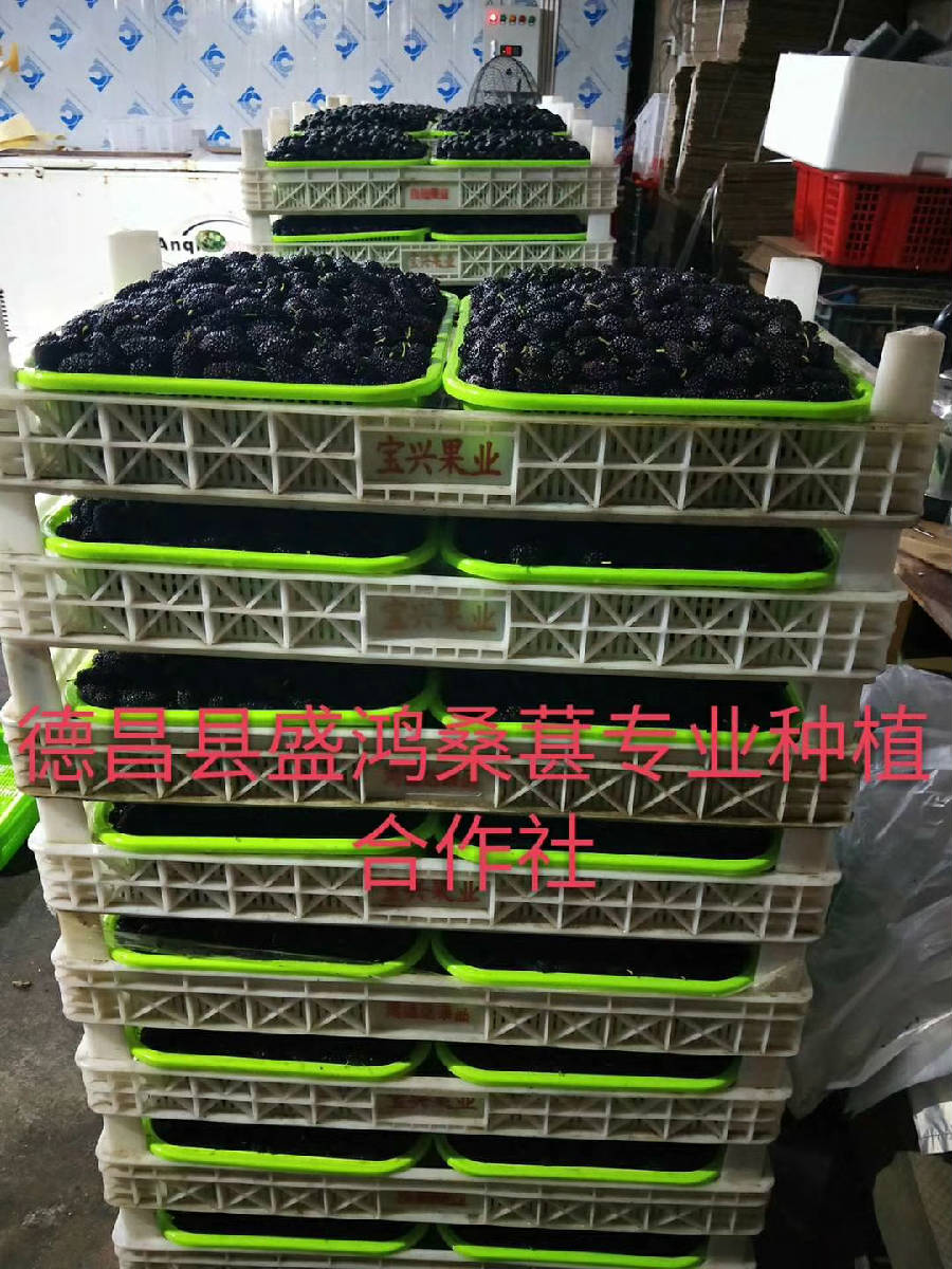 mmexport1521710505887.jpg
