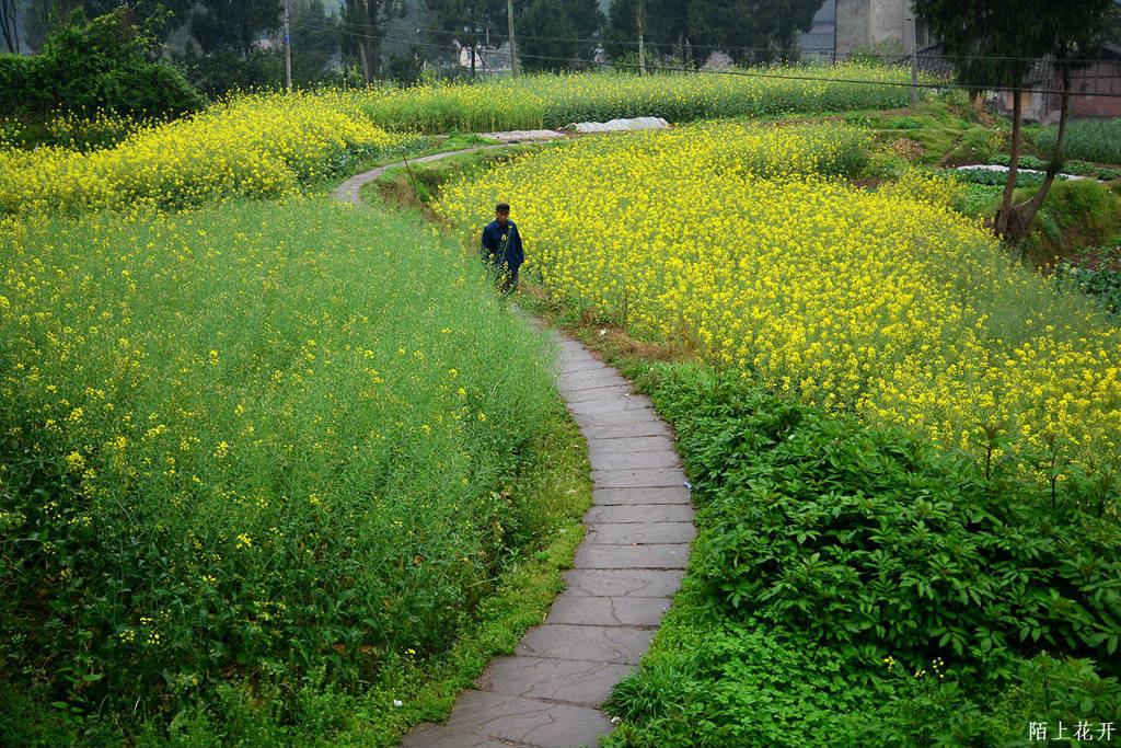 DSC_1487_副本.jpg