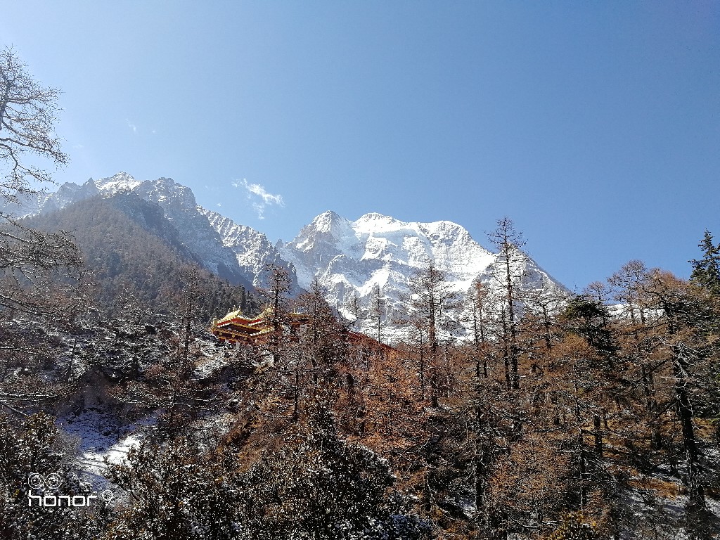 IMG_20180325_105550.jpg