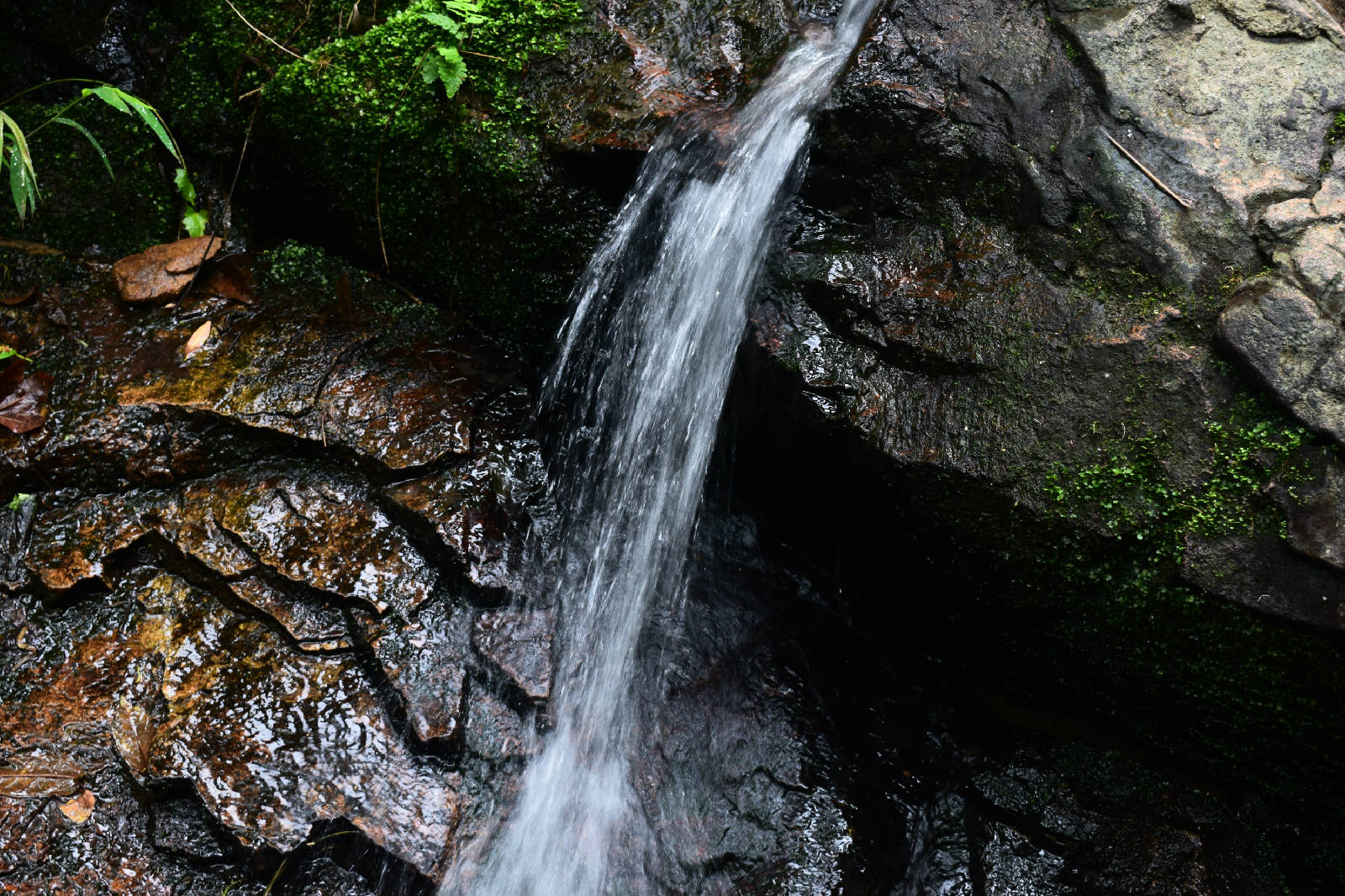 DSC_1089.JPG
