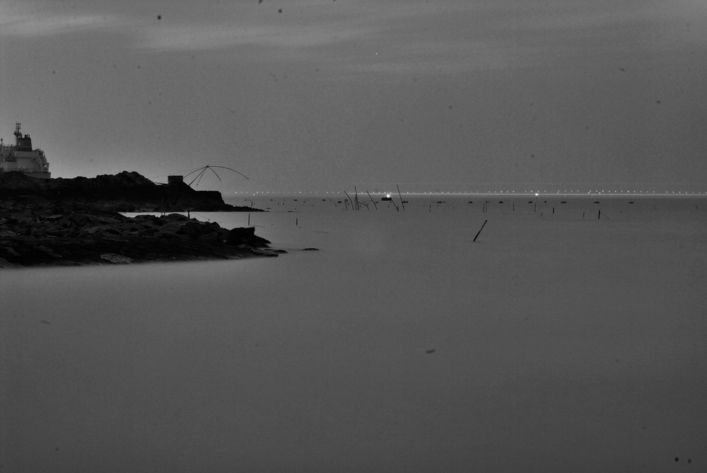 DSC_5312.jpg