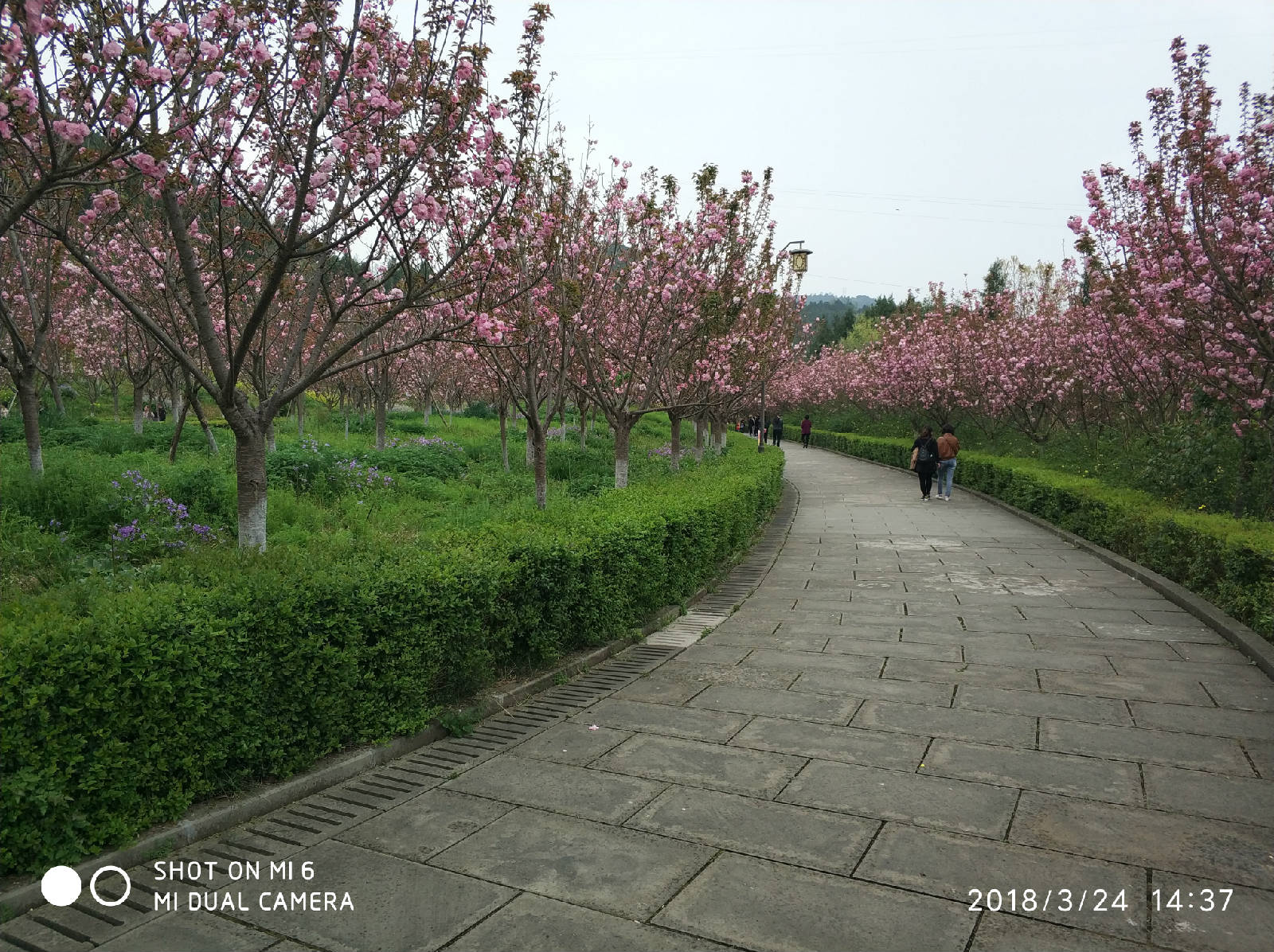 IMG_20180324_143707_1.jpg