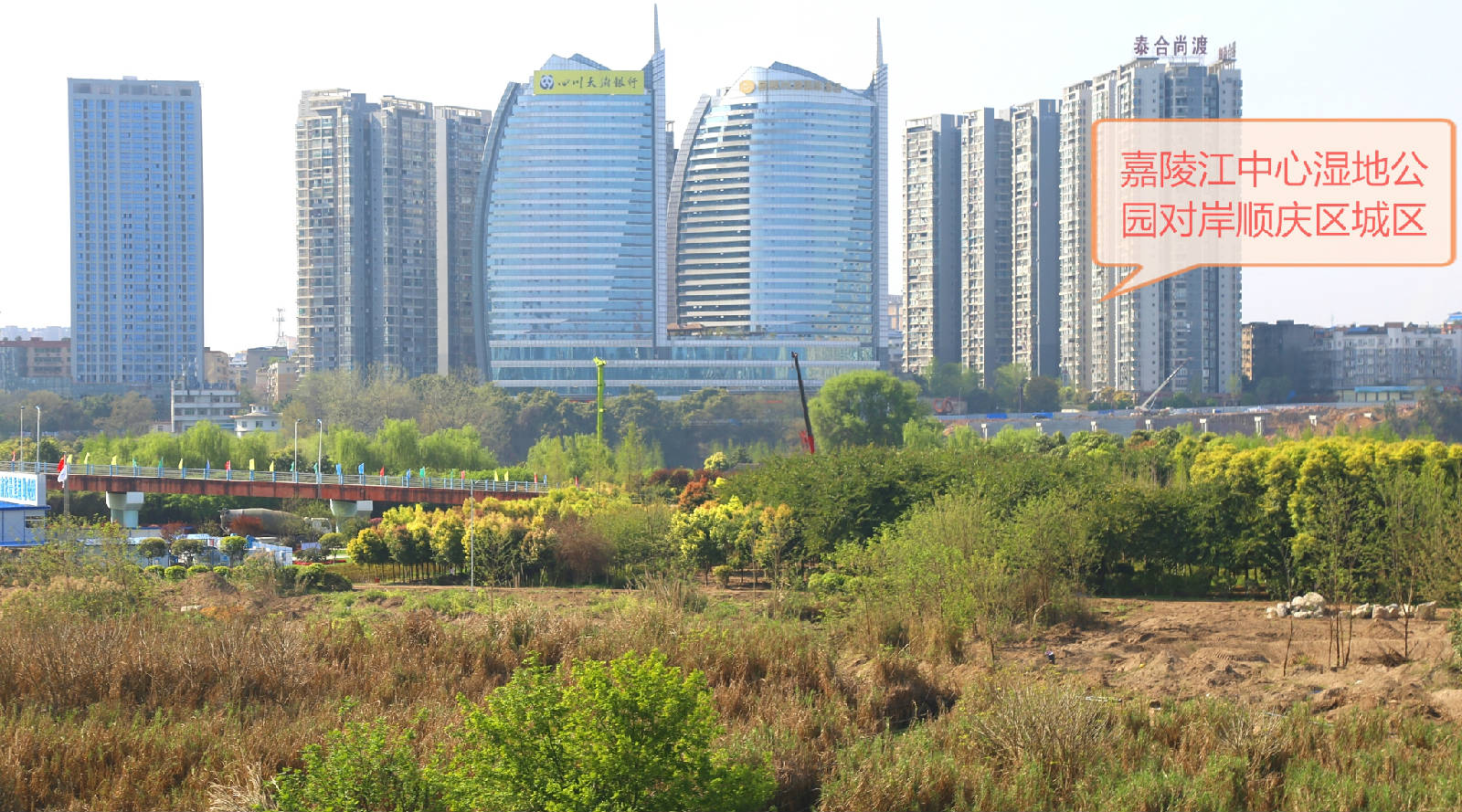 IMG_0011_看图