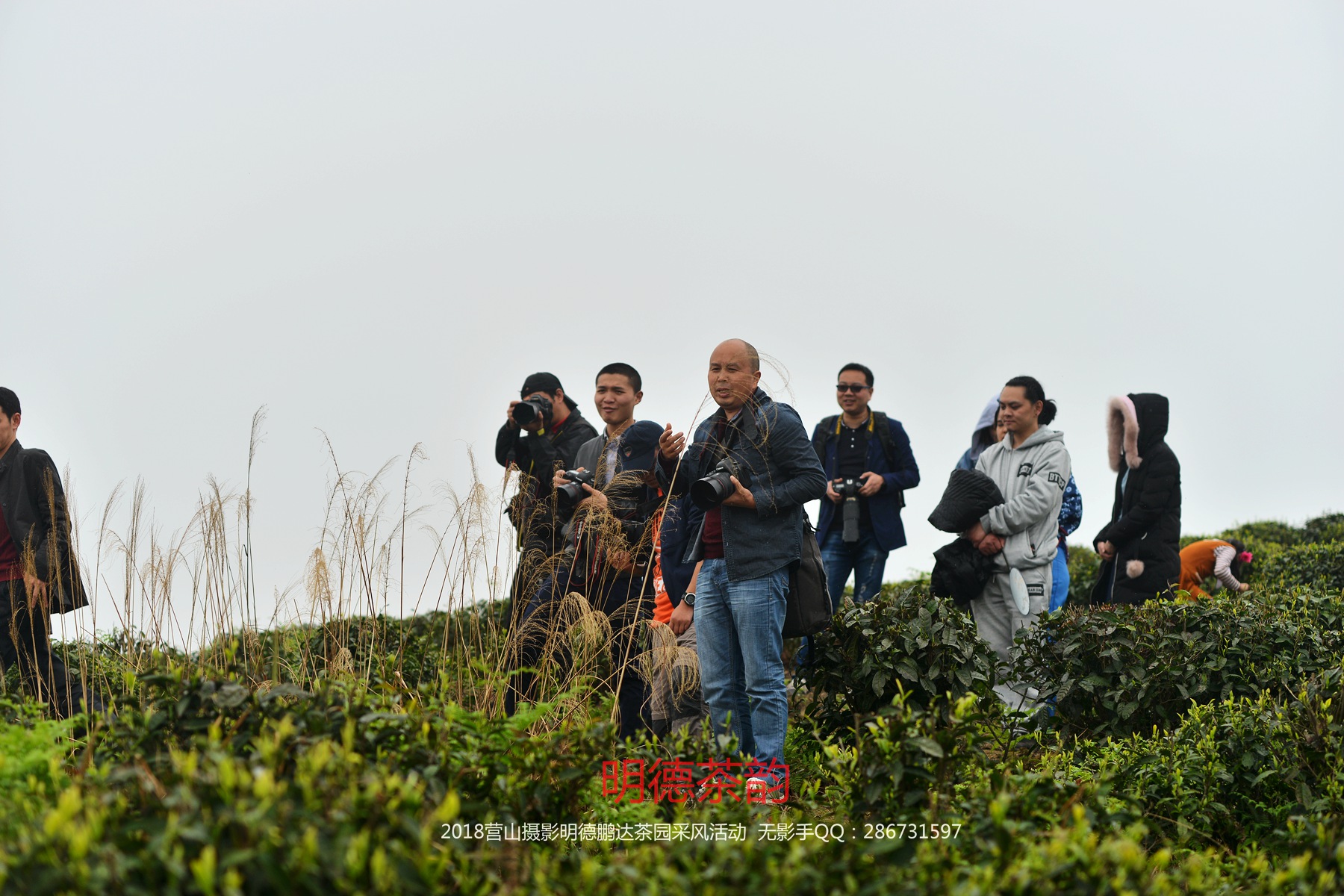 DSC_5558.jpg