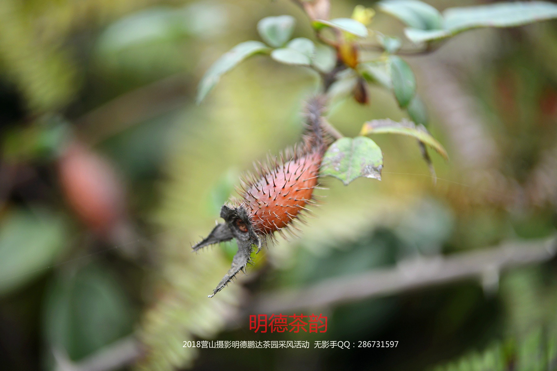 DSC_5924.jpg