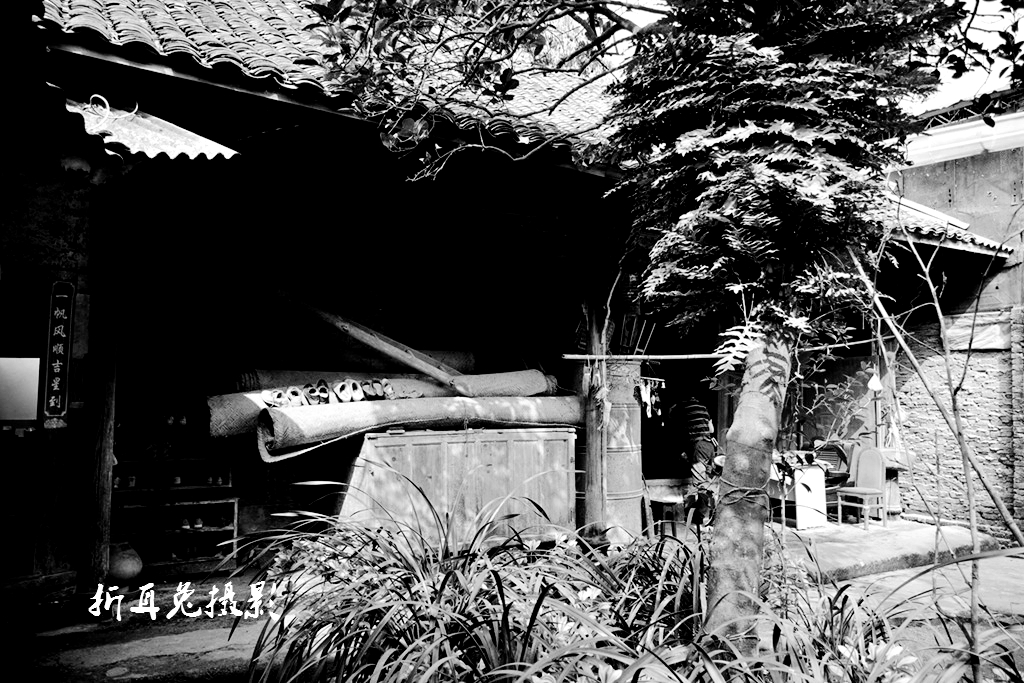 DSC_8113_副本.jpg