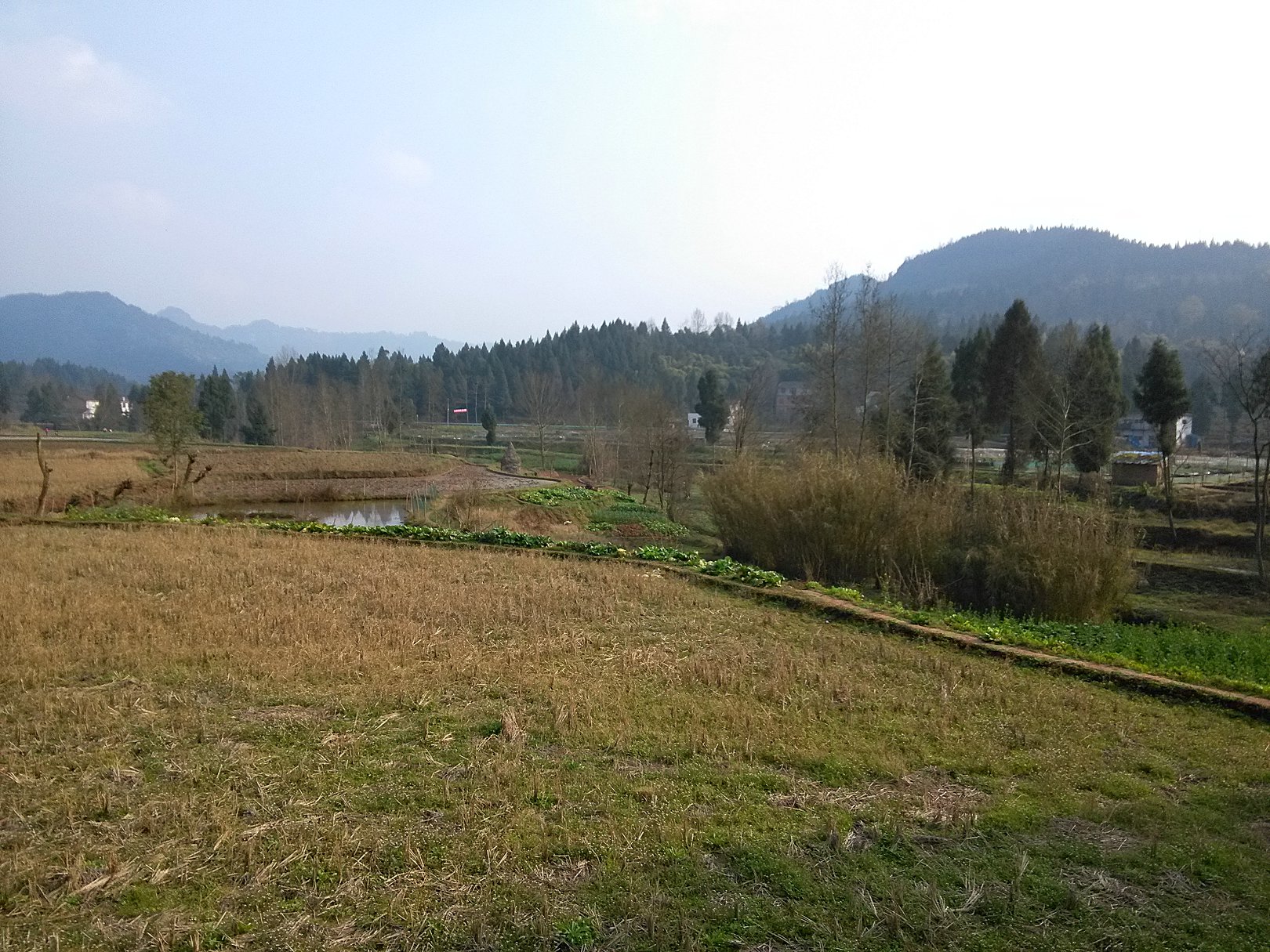 IMG_20180227_162617.jpg