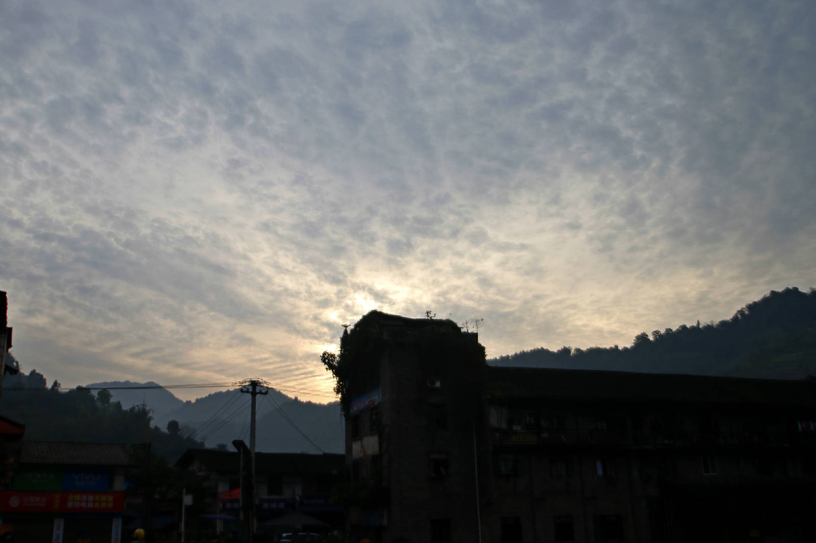 _MG_8179.JPG