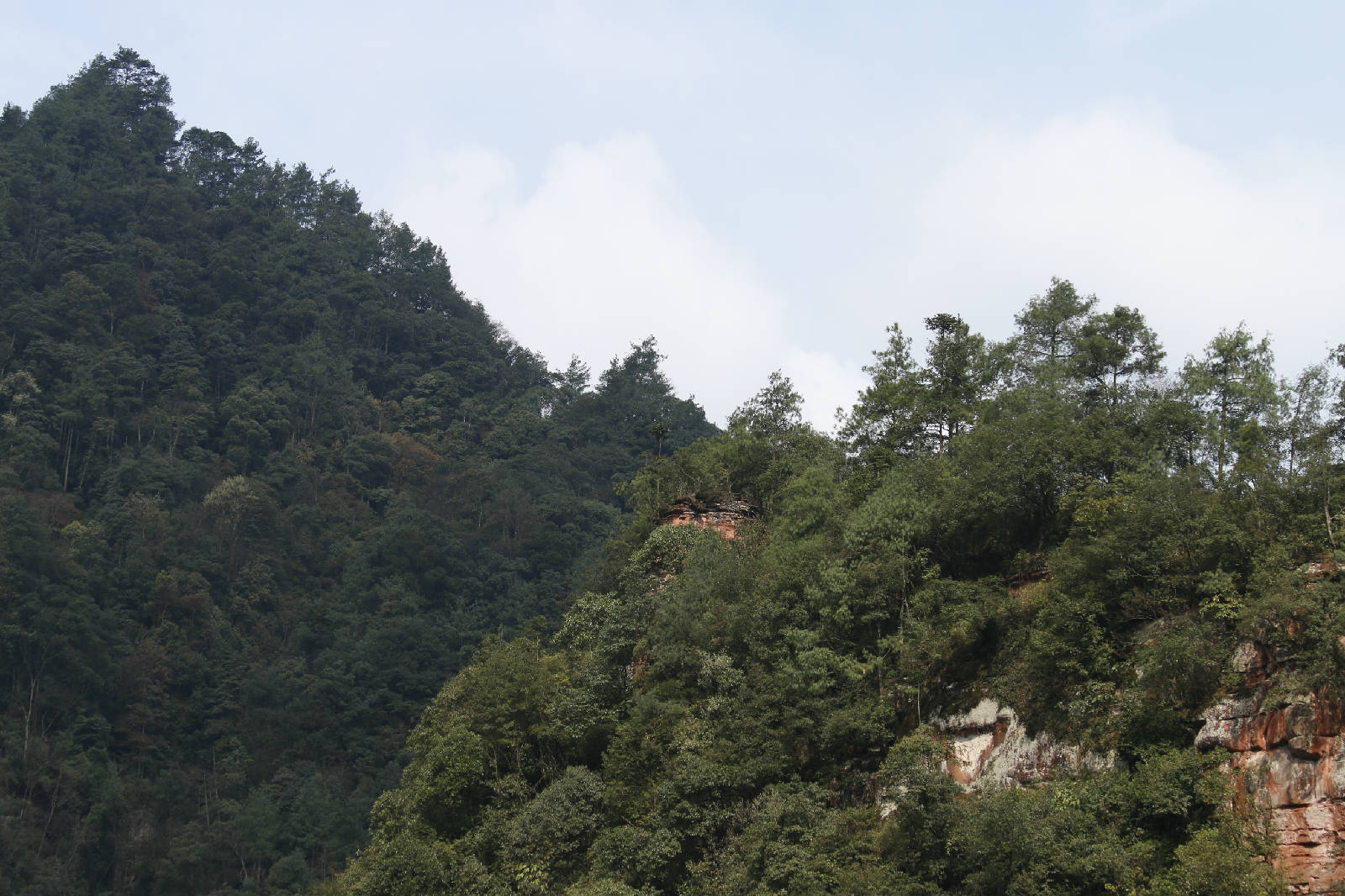 _MG_8316.JPG