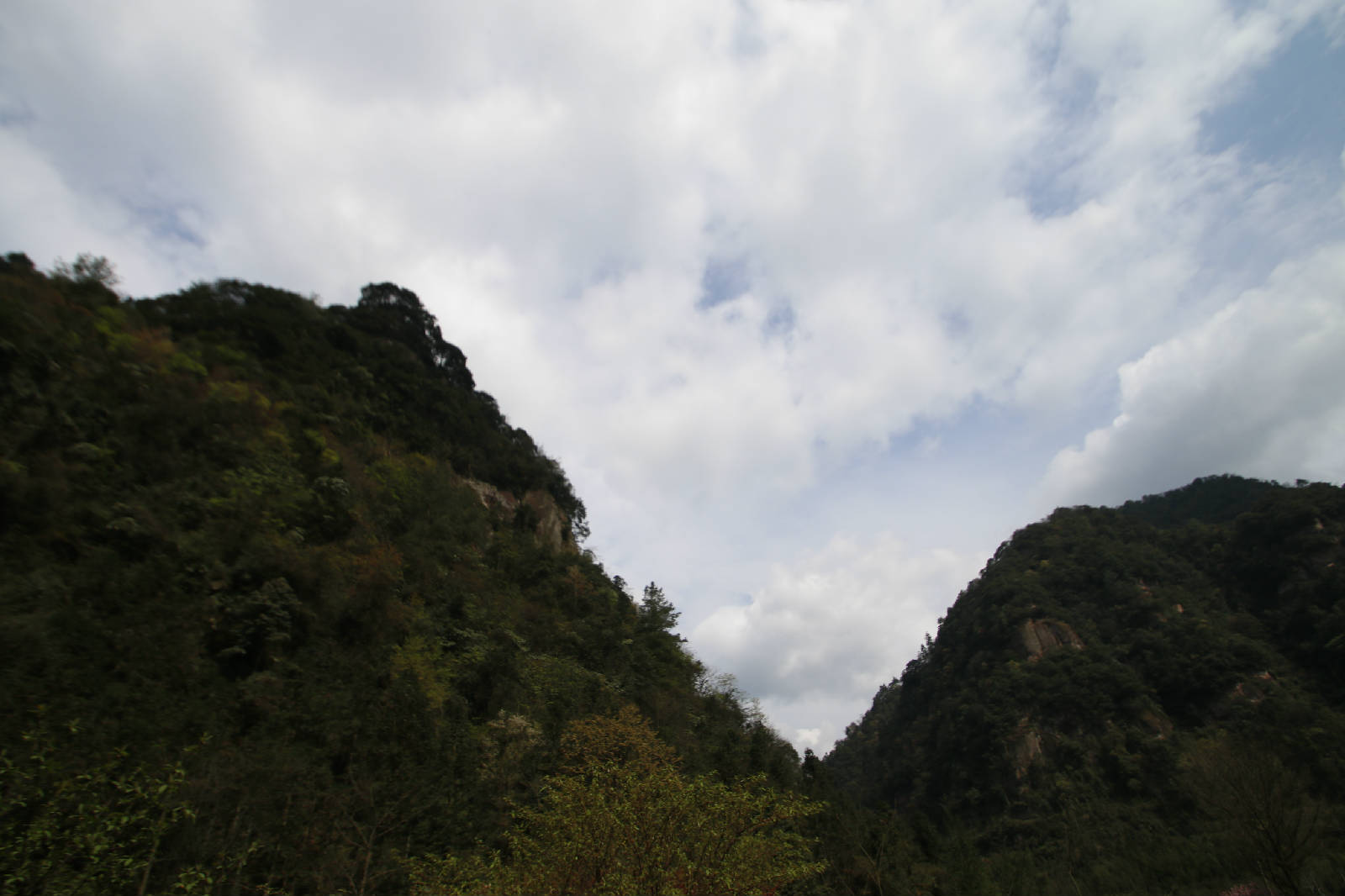 _MG_8352.JPG