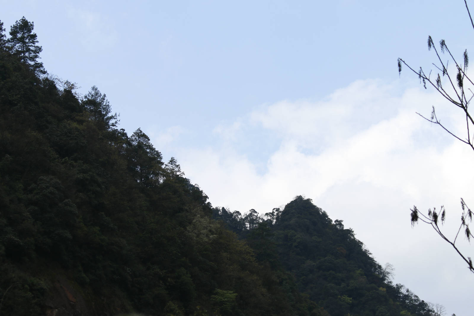 _MG_8907.JPG