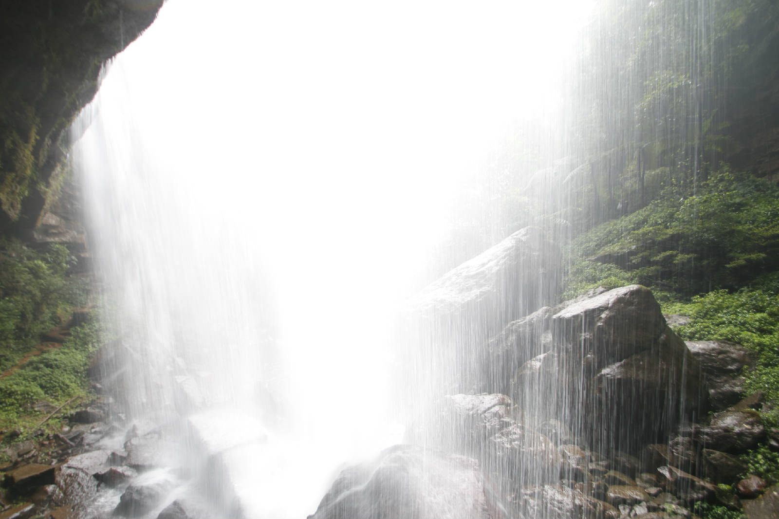 _MG_0829.JPG