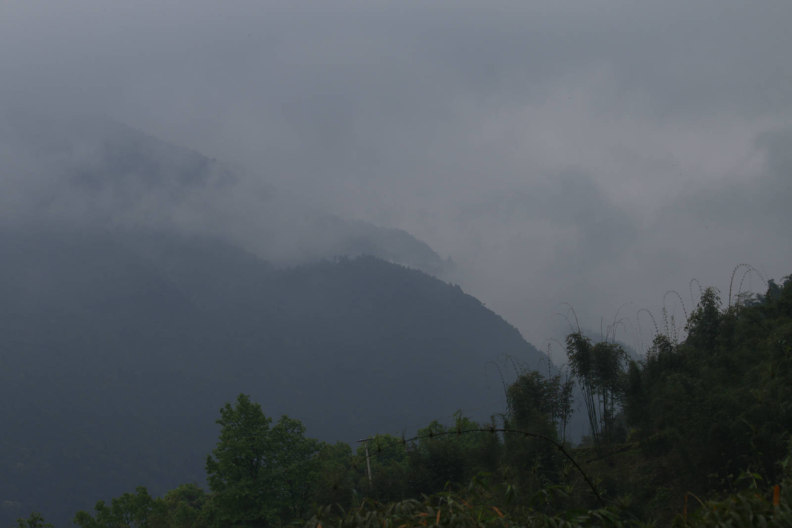 _MG_0852.JPG