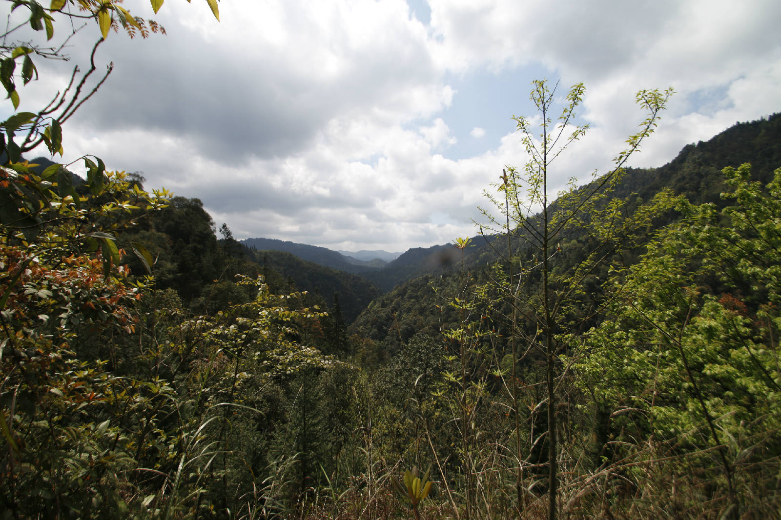_MG_0472.JPG