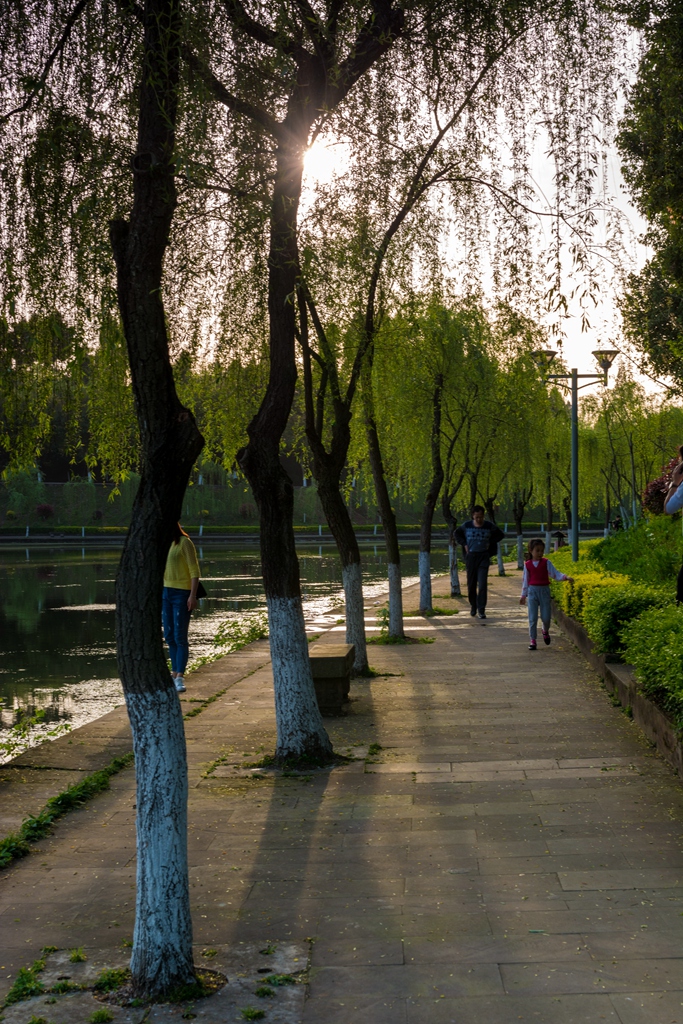 DSC_0866.jpg