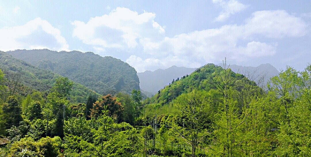 IMG_20180404_131925.jpg