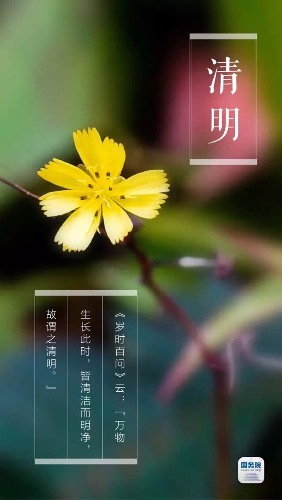 864B45F0-CBC2-4C13-B52C-3278EB833E0D.jpeg