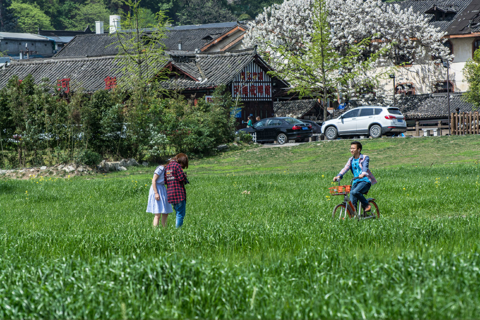 165DSC_6584.jpg