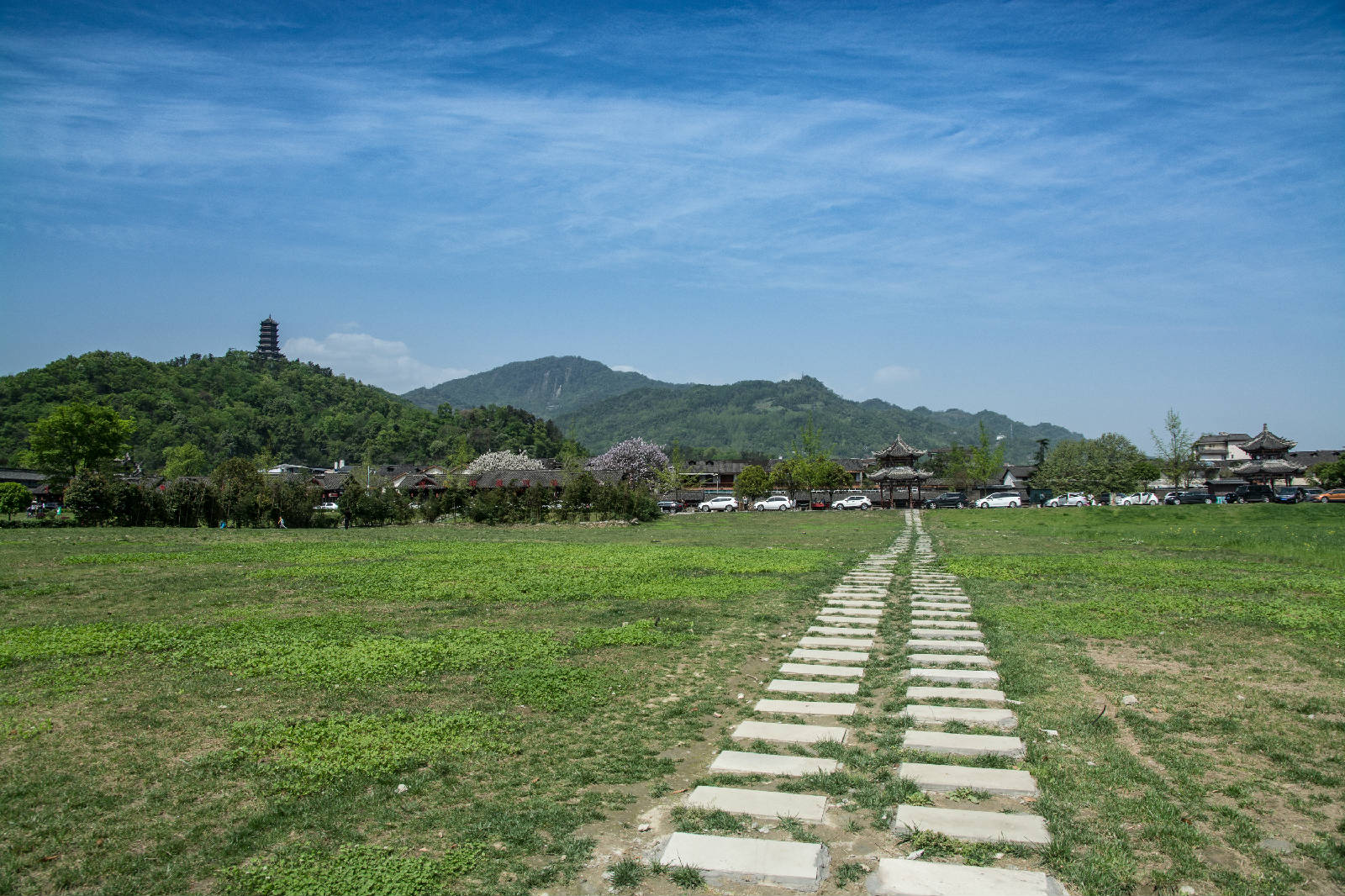 171DSC_6596.jpg