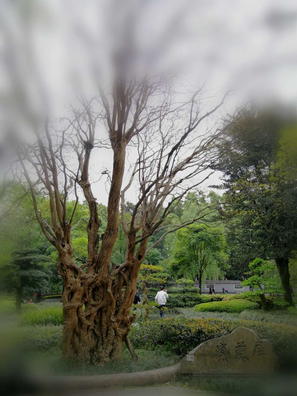 20180408_4338435_1523177012491.jpg