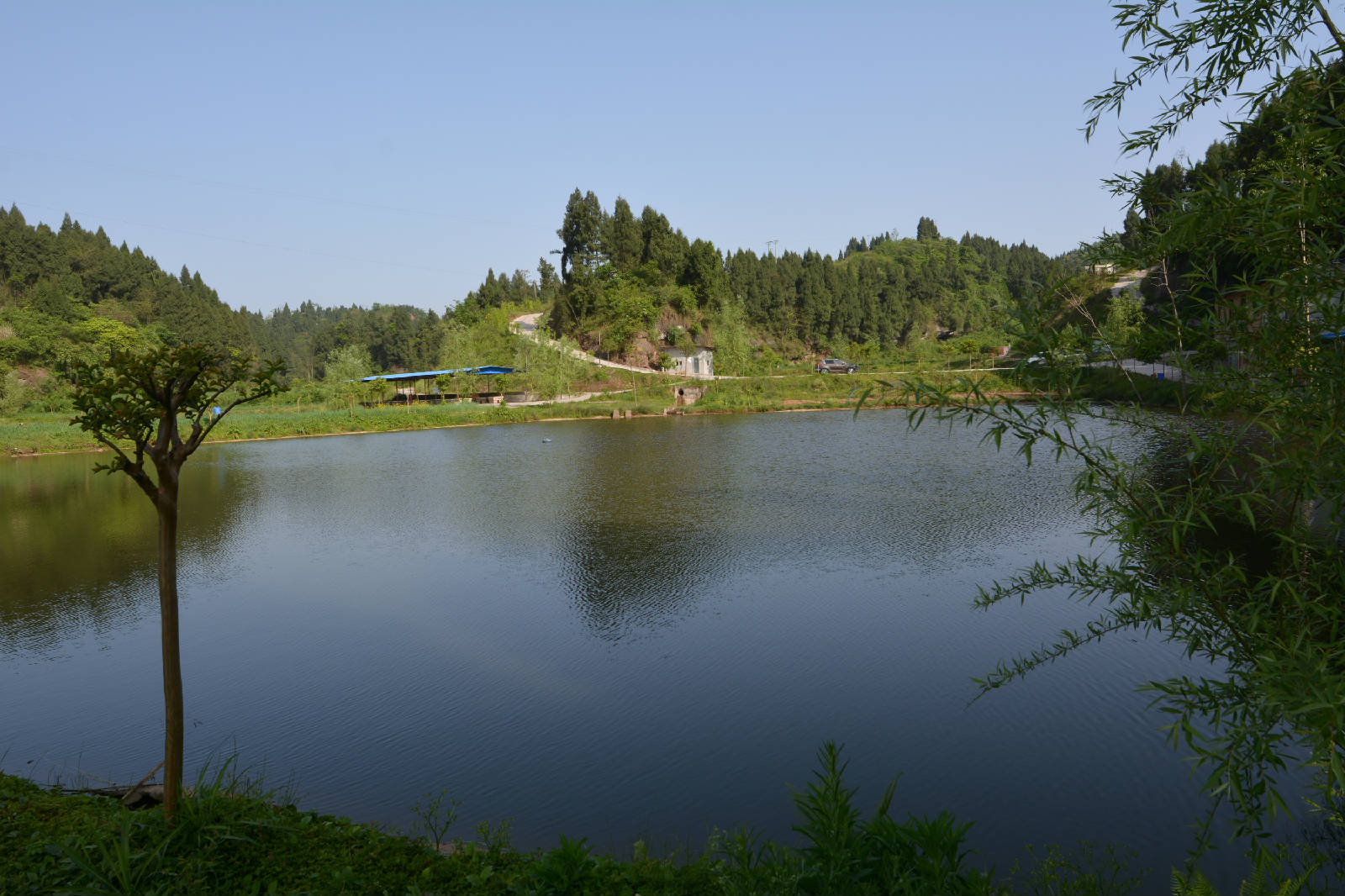 營山又一旅遊開發地:茶盤鄉山潤農牧等待你的加盟